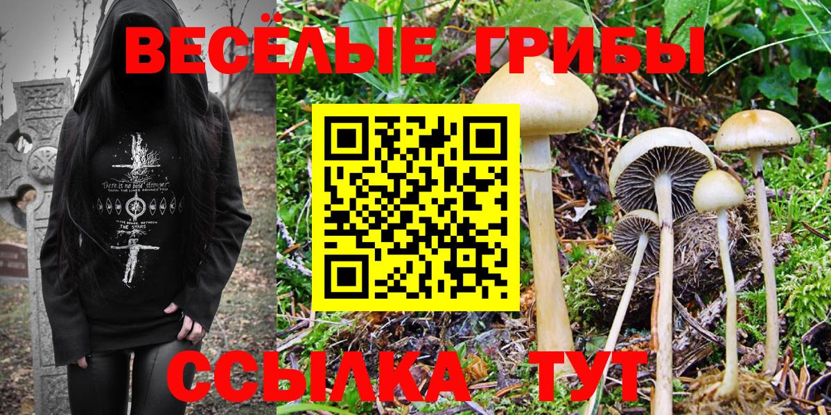 Псилоцибиновые грибы Psilocybine cubensis  Вход с VPN  Муром 